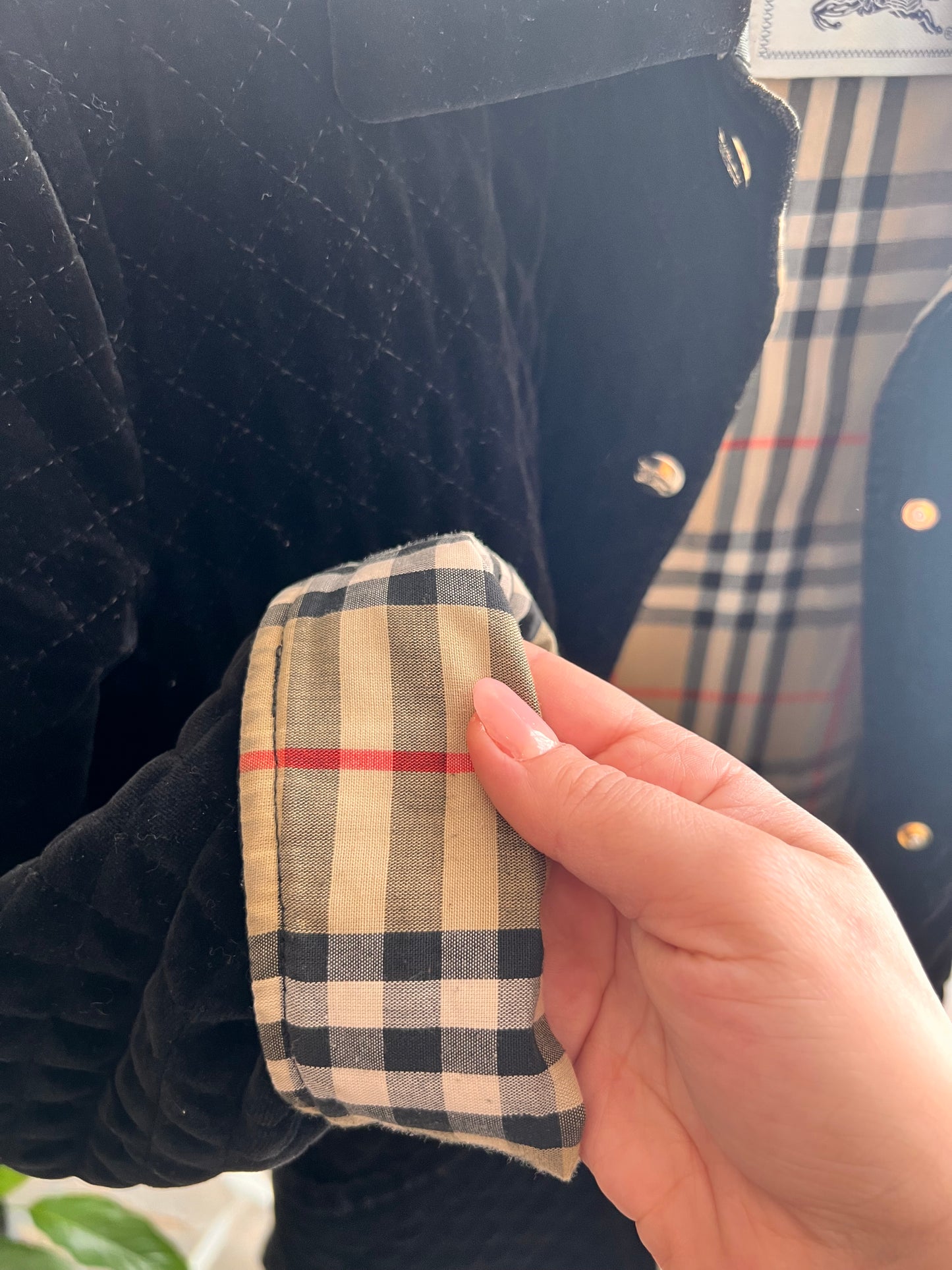 Trapuntato Burberry in velluto liscio