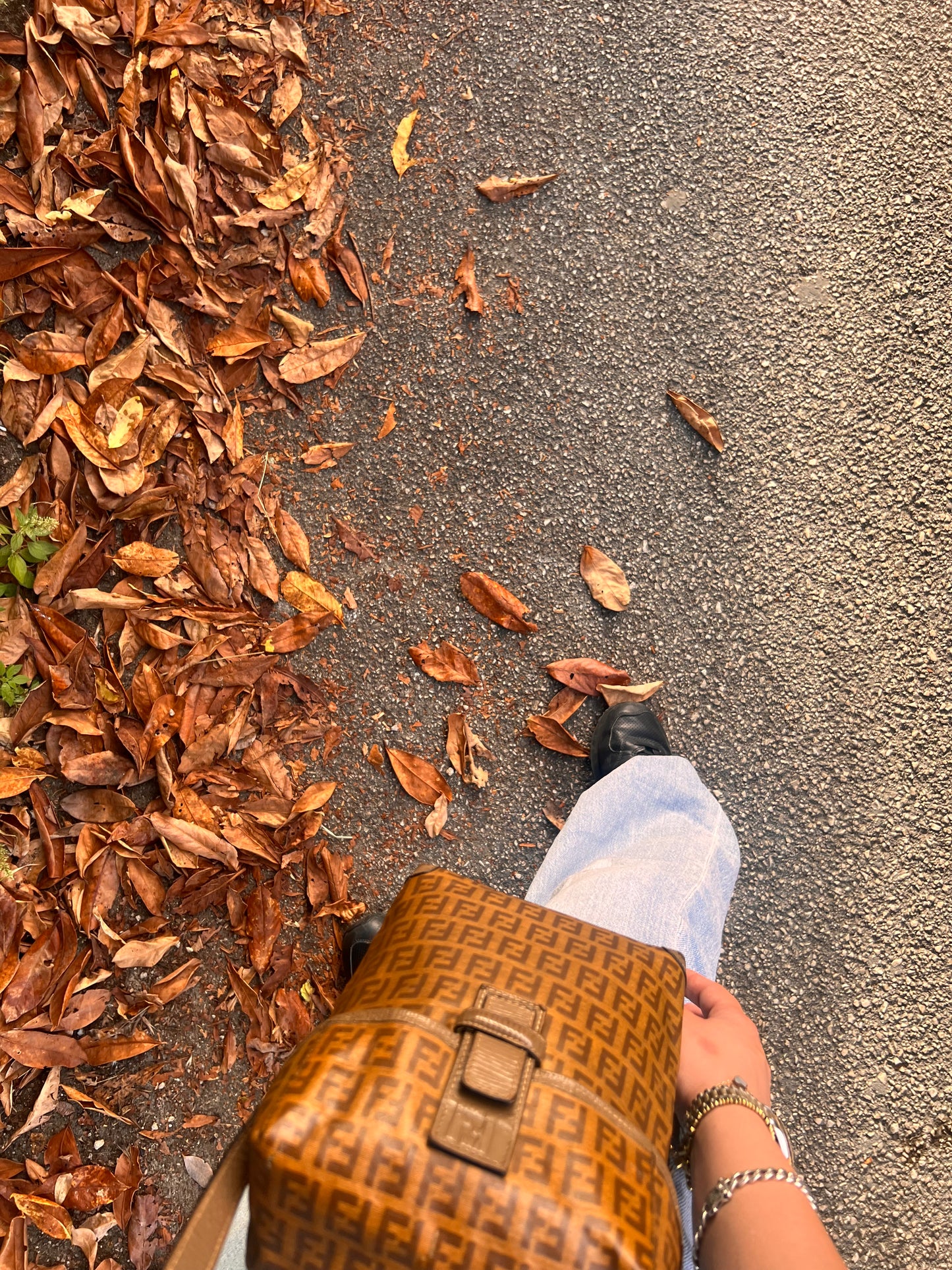 Borsa Fendi vintage