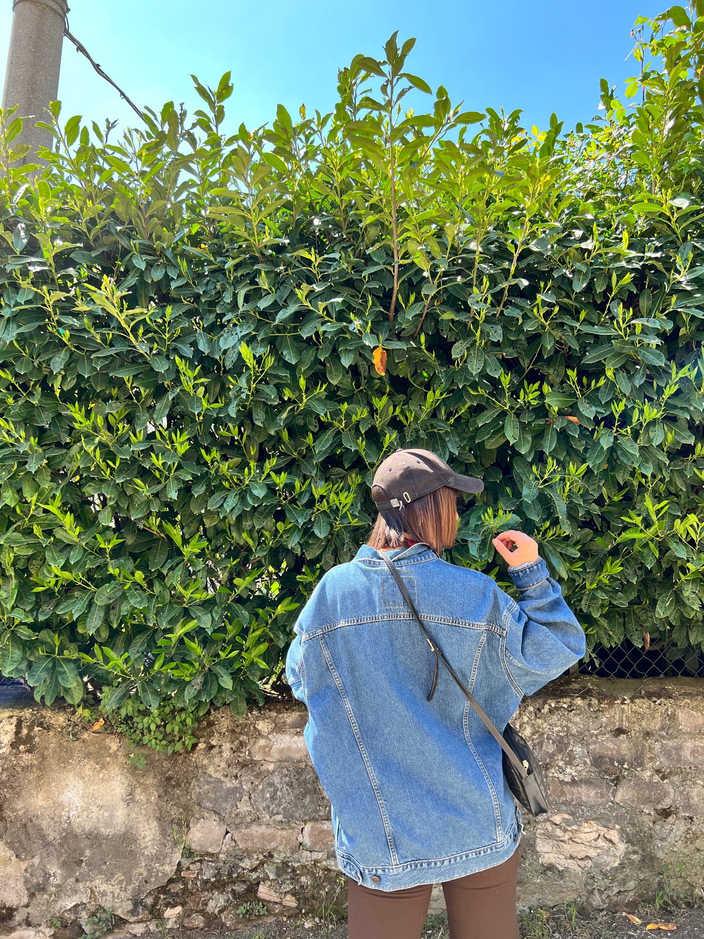 Giacchetto in jeans Levi’s