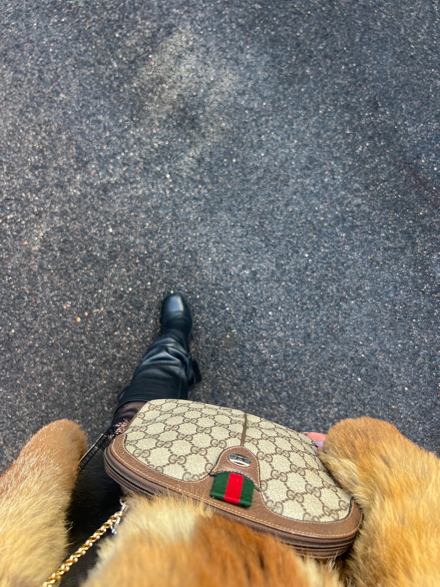 ICONIC gucci ophidia