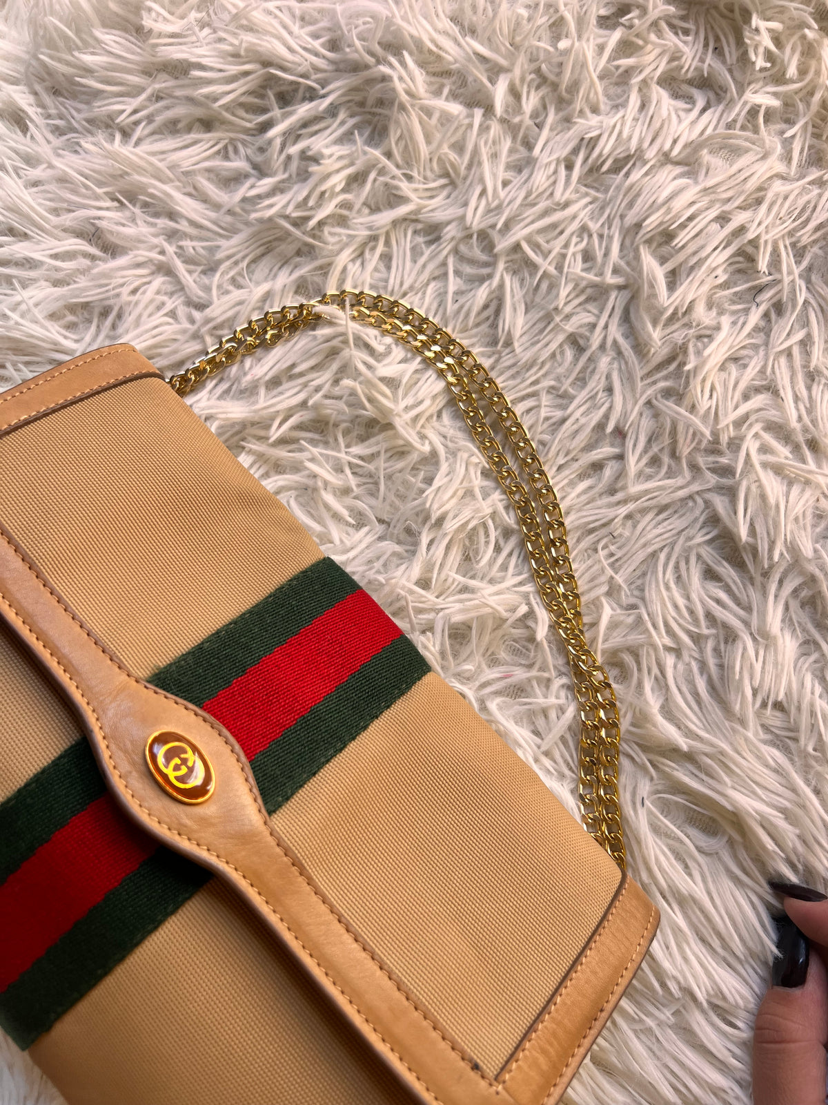 The real Gucci Ophidia