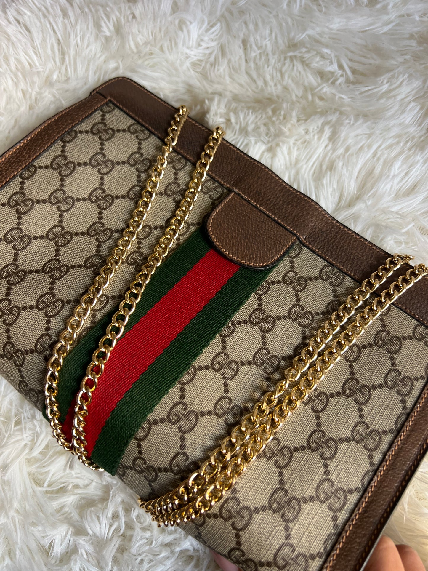 The real gucci ophidia