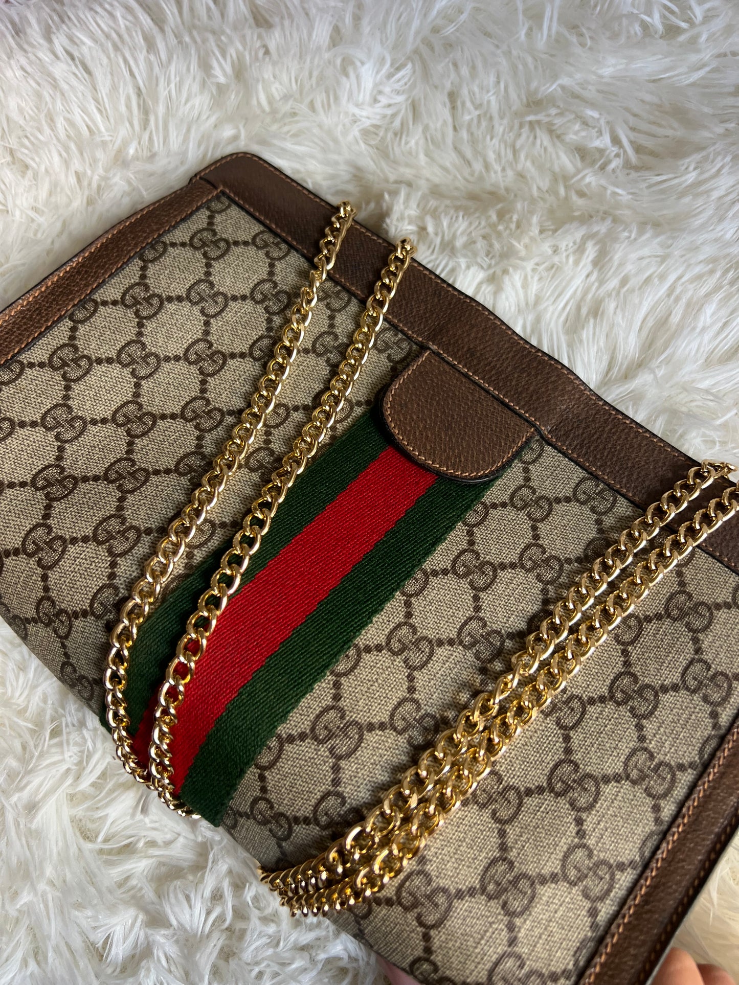 The real gucci ophidia