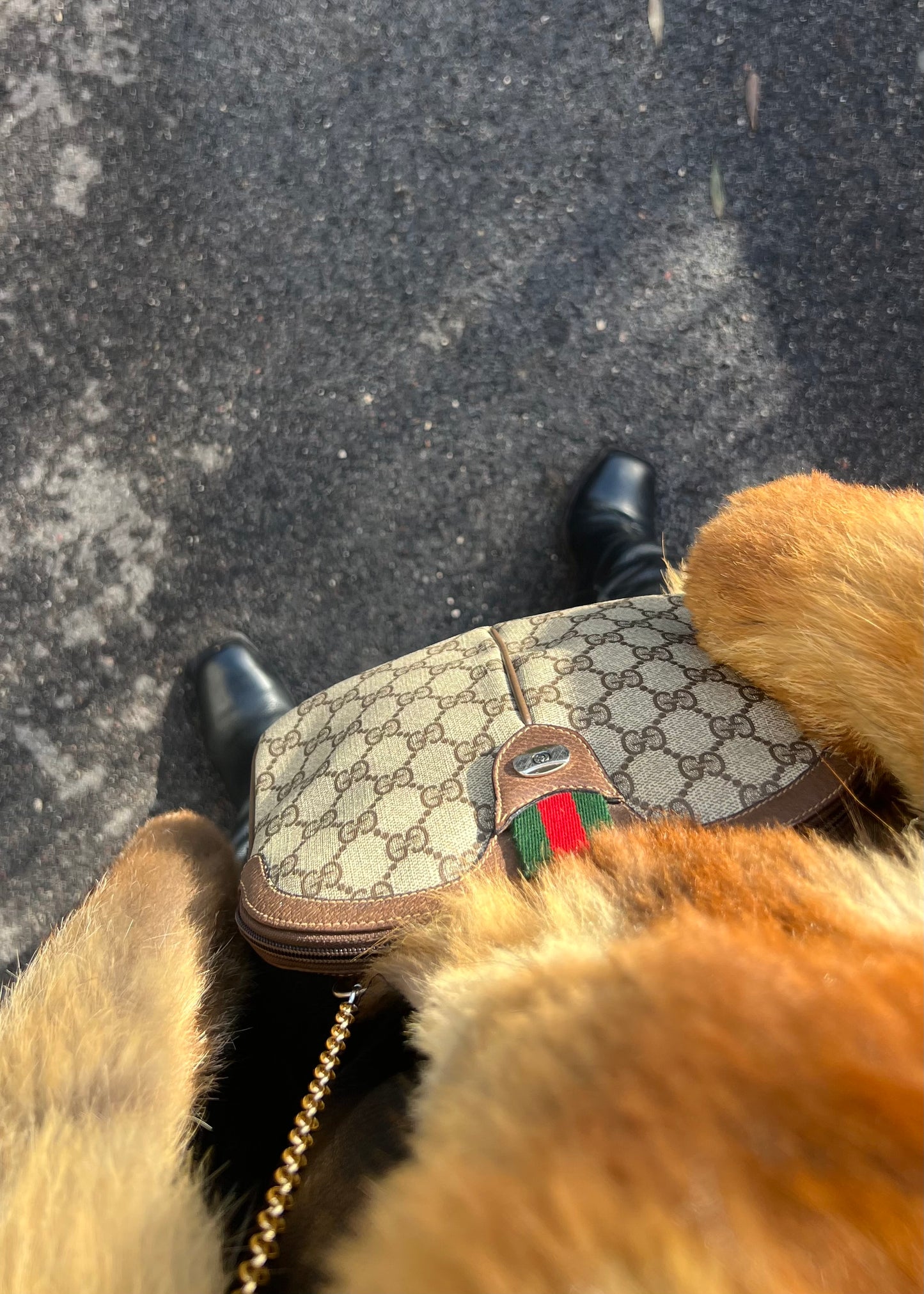 ICONIC gucci ophidia