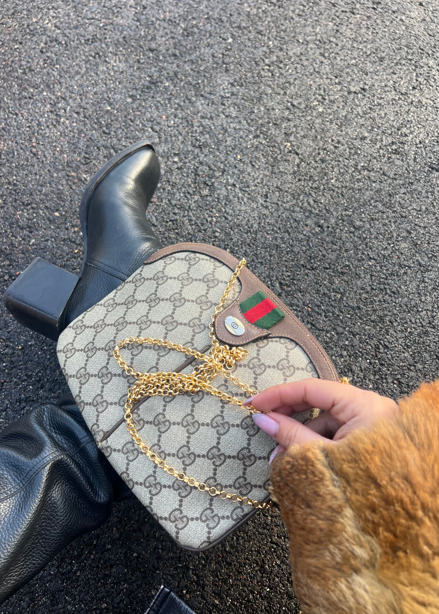 ICONIC gucci ophidia