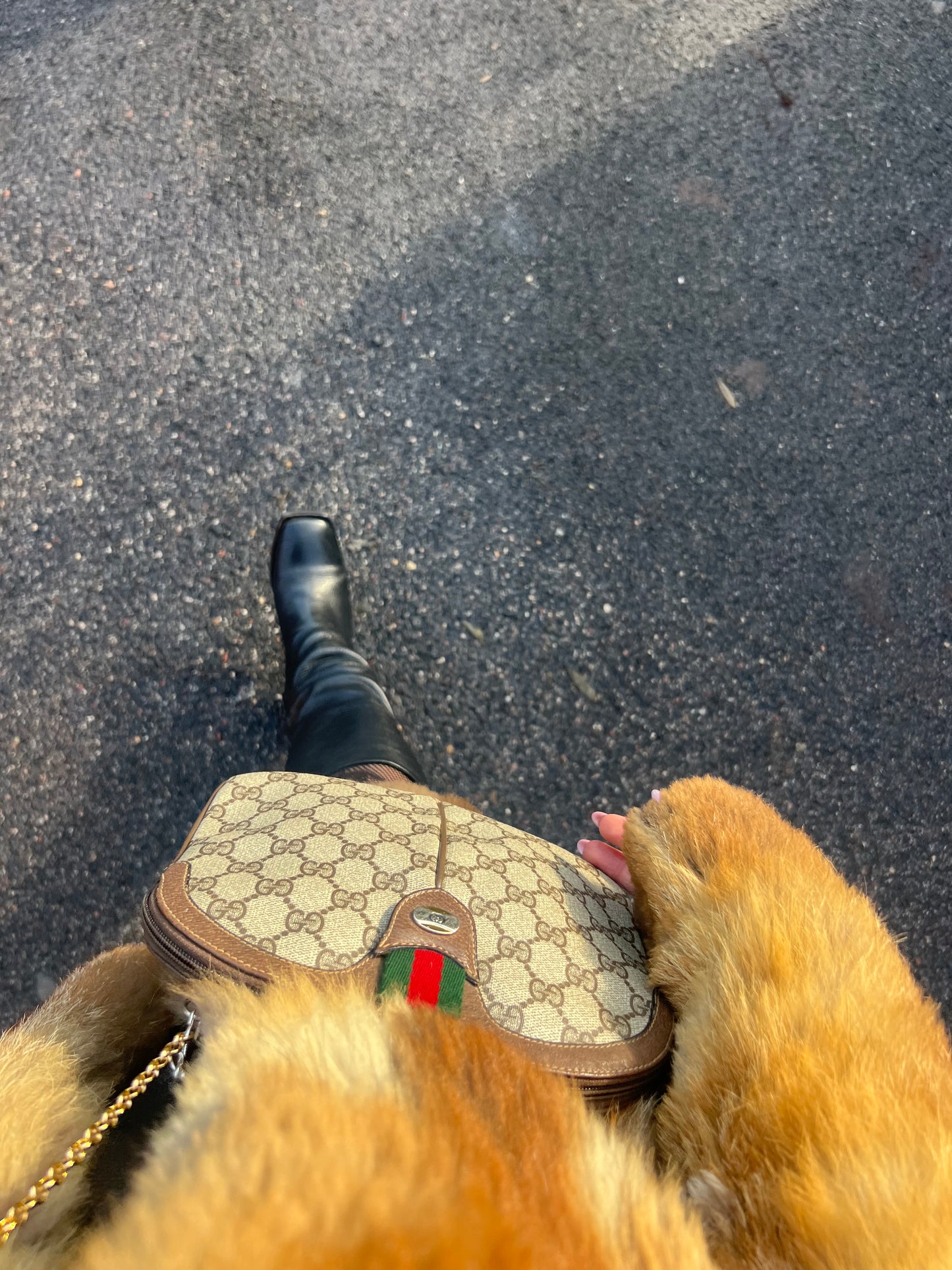 ICONIC gucci ophidia